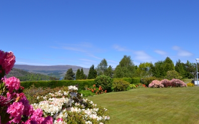 Front garden in bloom