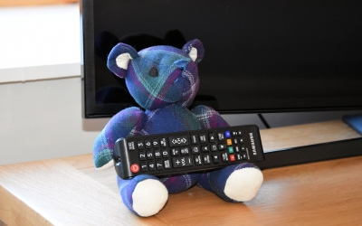 Tartan teddy holding the remote control