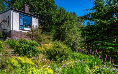 South facing garden