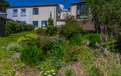 Garden to the south of the house.