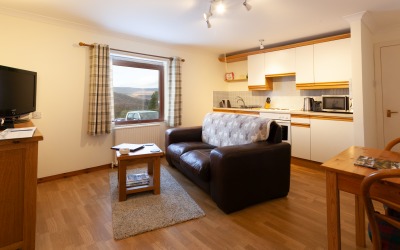 Garden apartment kitchen lounge dining area